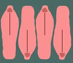 Bergans Fritid Bergans Trollhetta Tunnel 4 Telt Fogblue -Panther Martin Salg 6078 12757d.480