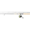 Daiwa Crossfire LT3000-C Gold Rush Pmc