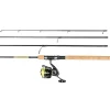 Daiwa Crossfire LT4000-C Gold Rush Pmc