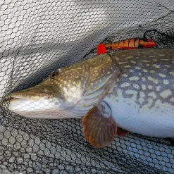 Daiwa Prorex Lazy Shad 16cm -Panther Martin Salg daiwa lazy shad miljo 1.640