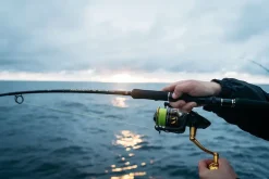 Penn Slammer IV 8500HS -Panther Martin Salg penn soroya shoot 43 slammer iv regiment iii.640