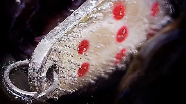 SOLVKROKEN Sølvkroken Spesial Classic Zebra W/BL/FL 2 SOLVKROKEN Sølvkroken Spesial Classic Zebra W/BL/FL - Bilde 2