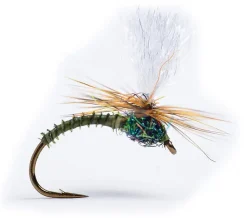 Guideline Klink Dk. Olive Biot #14