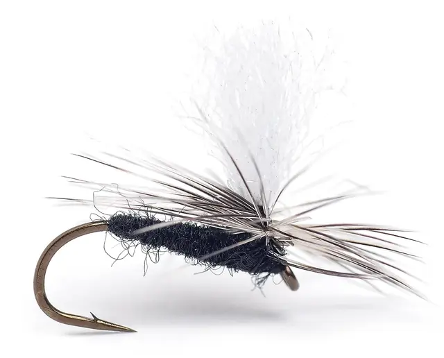 Guideline Rena Midge #15 1 Guideline Rena Midge #15