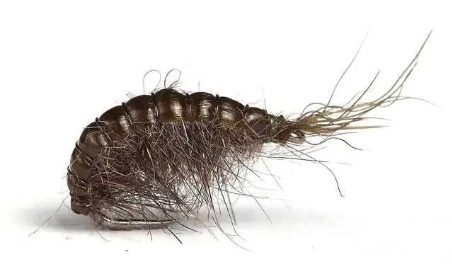 Guideline Scud #12 Olive & Grey 1 Guideline Scud #12 Olive & Grey